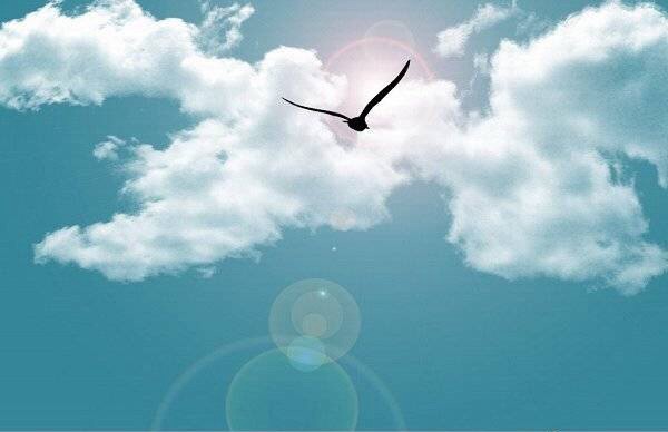 IMG_0782.JPG IMG_0782.JPG